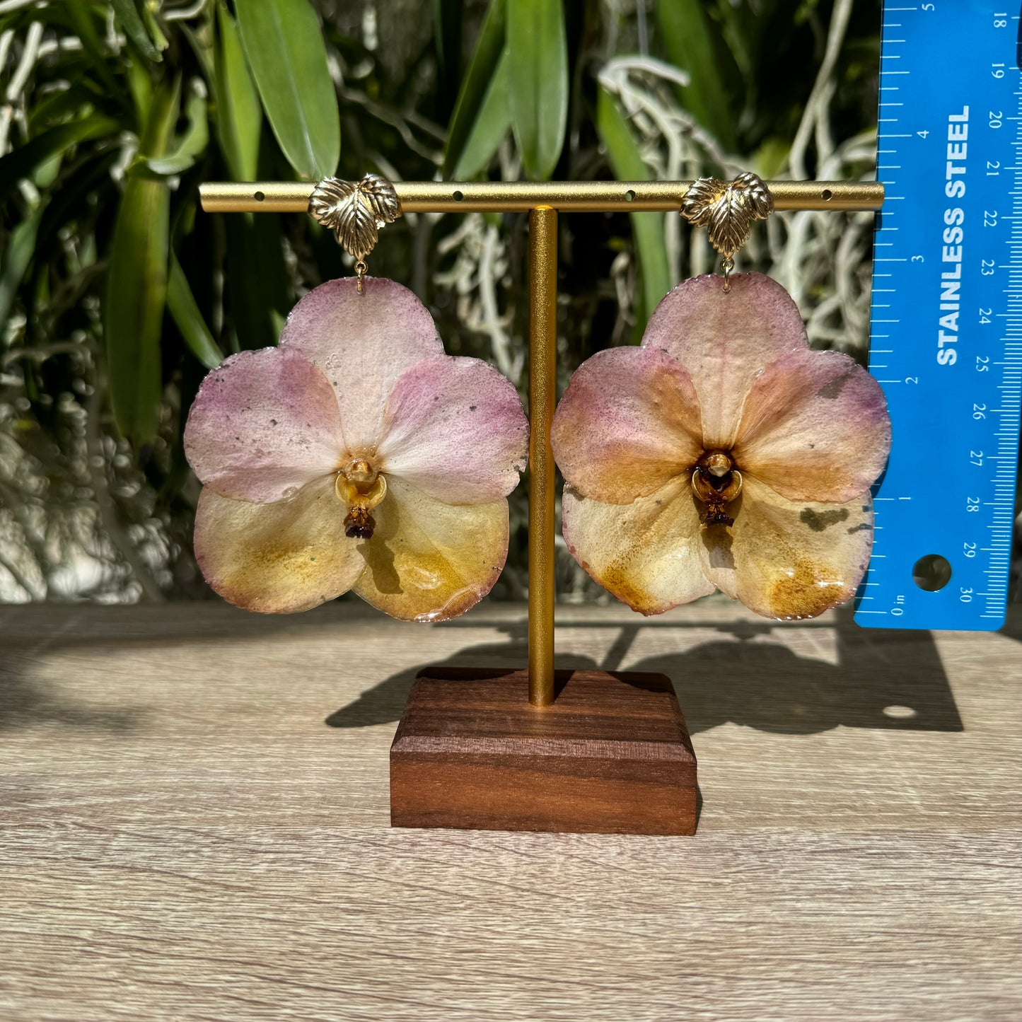 Sunset Vanda two tone Orchid earrings