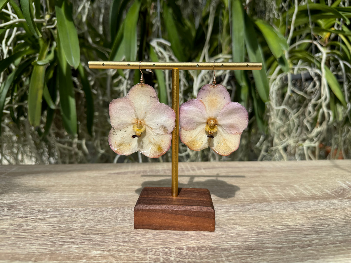 Sunset Vanda two tone Orchid earrings