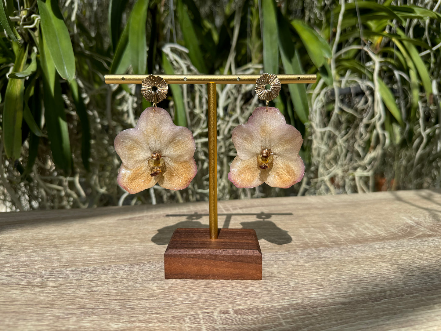 Sunset Vanda two tone Orchid earrings