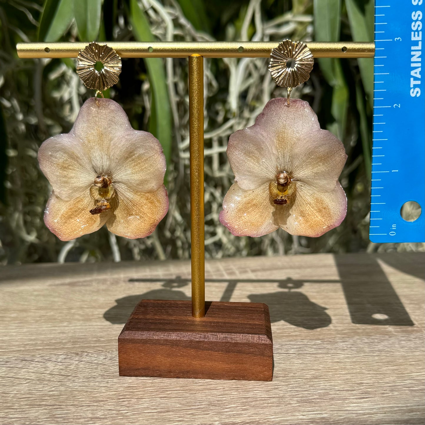 Sunset Vanda two tone Orchid earrings