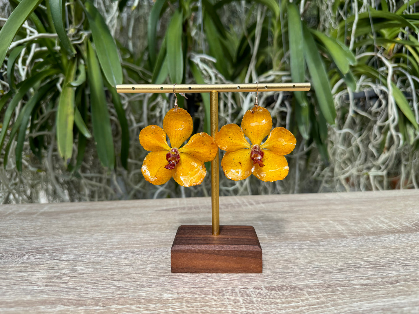 Yellow Vanda Ploenit Orchid earrings