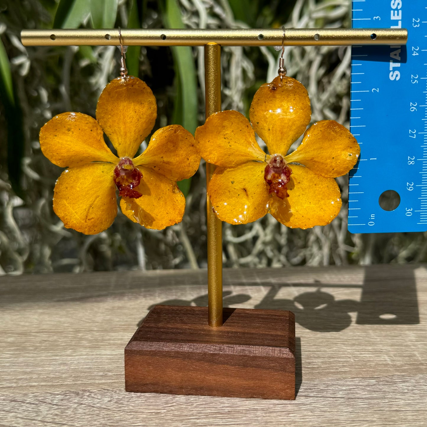 Yellow Vanda Ploenit Orchid earrings