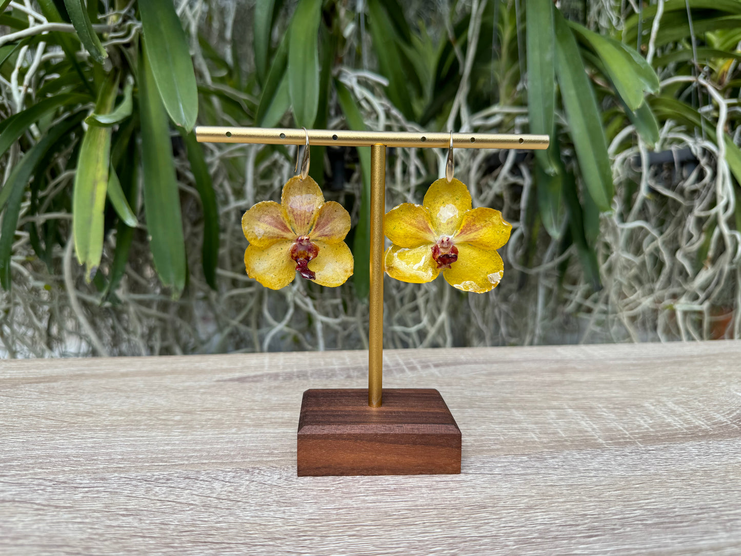 Yellow Vanda Ploenit Orchid earrings