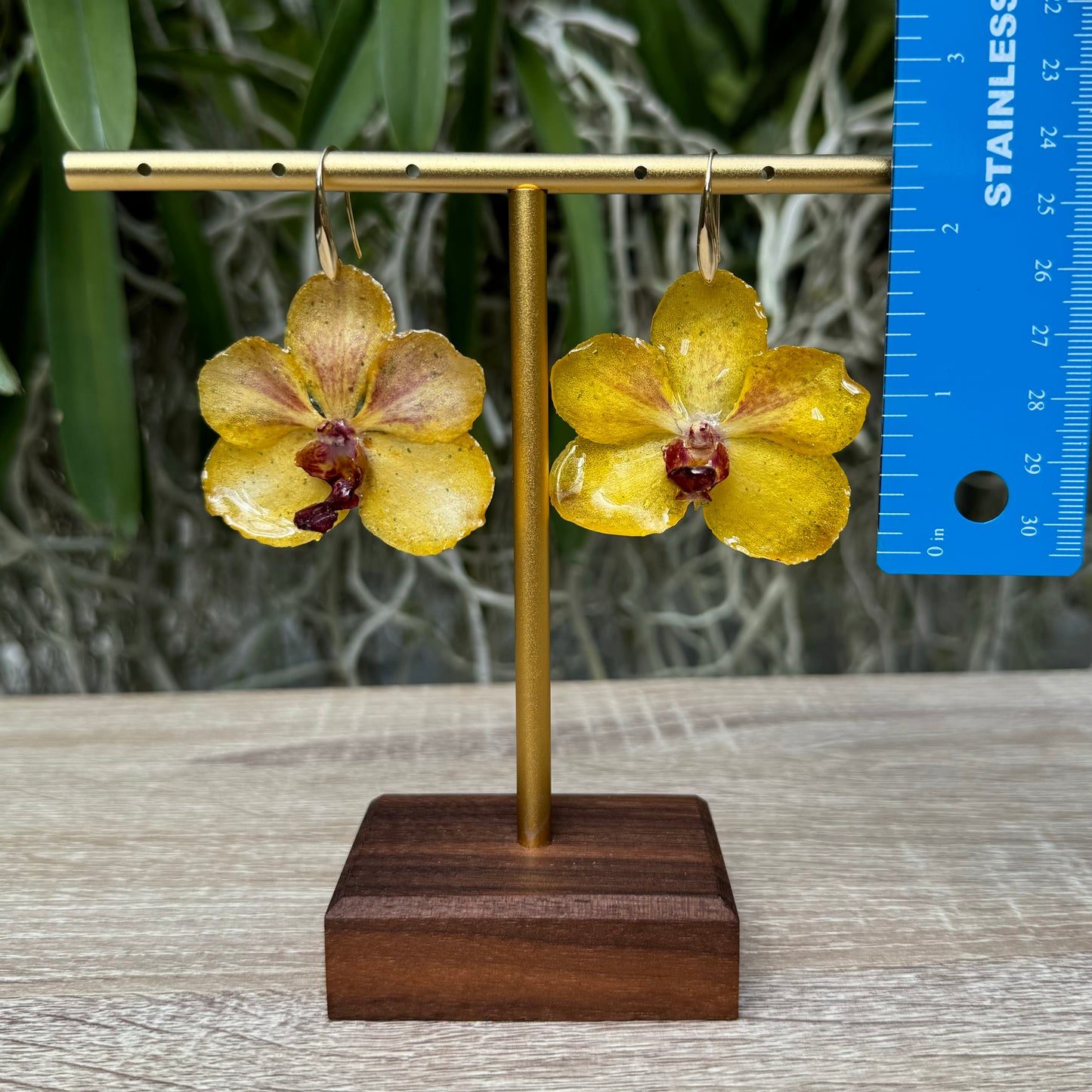 Yellow Vanda Ploenit Orchid earrings