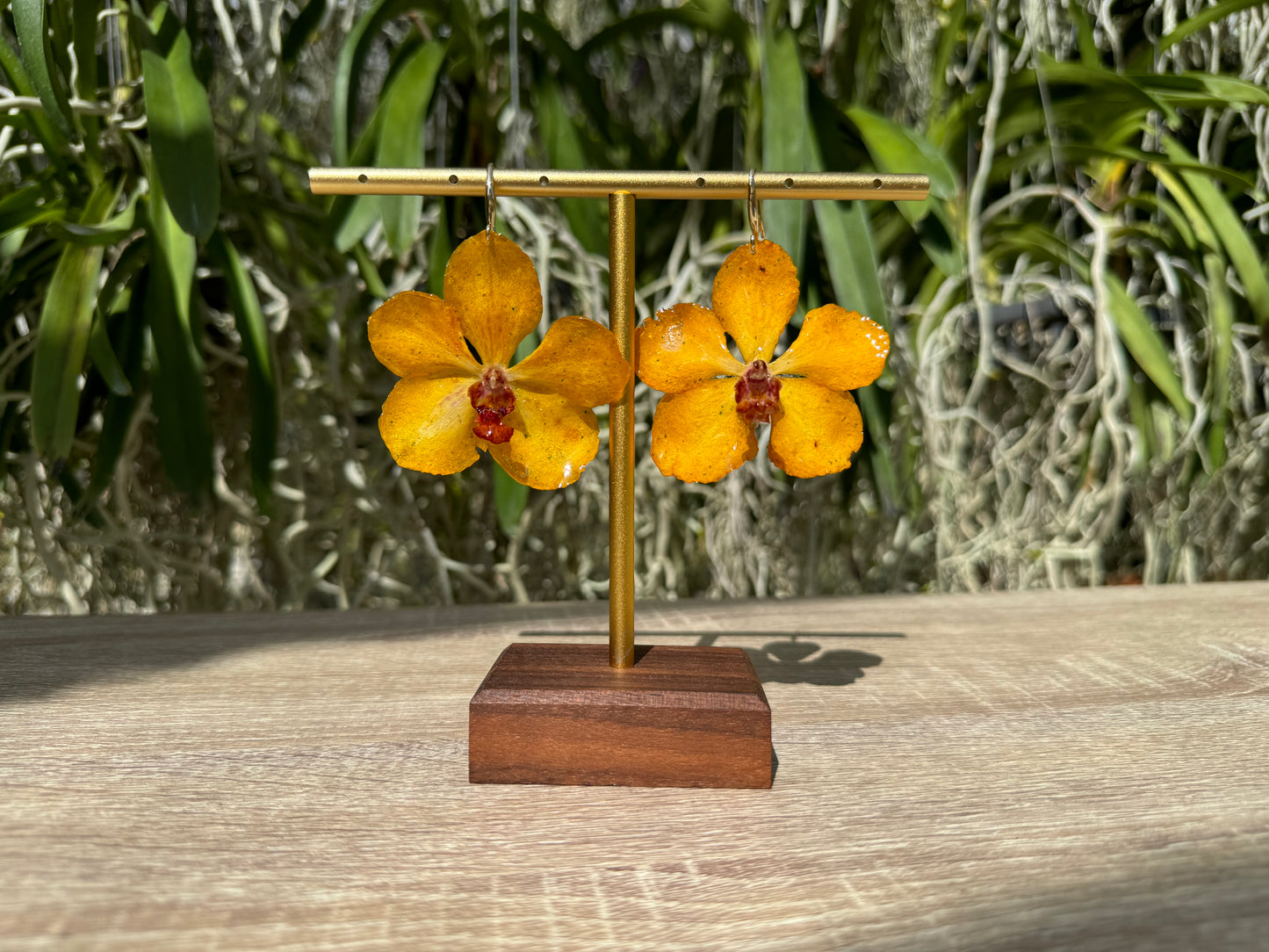 Yellow Vanda Ploenit Orchid earrings