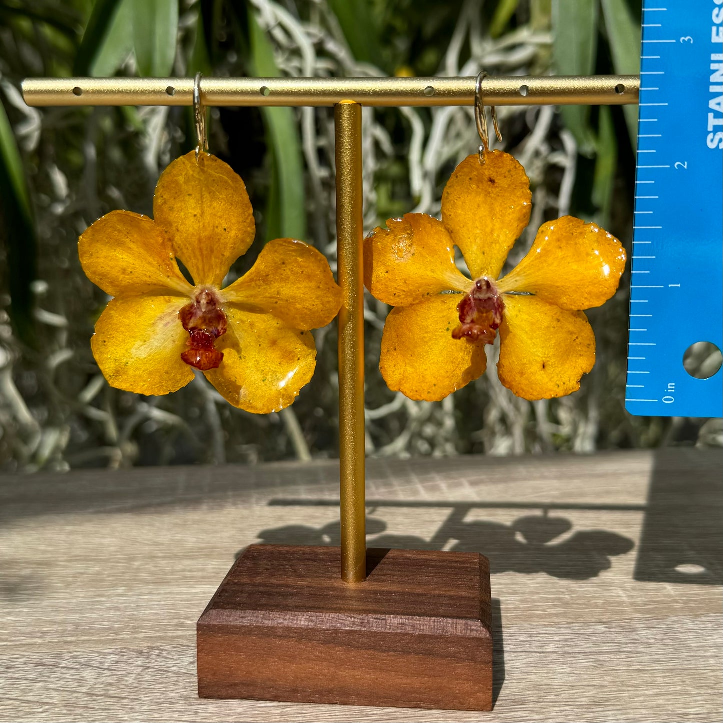 Yellow Vanda Ploenit Orchid earrings