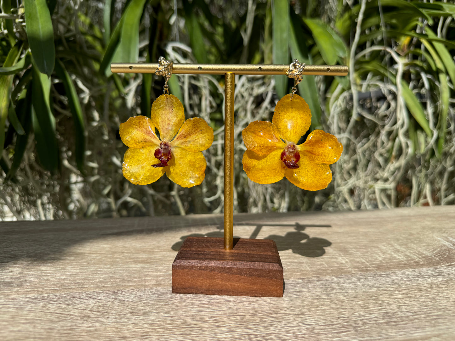 Yellow Vanda Ploenit Orchid earrings