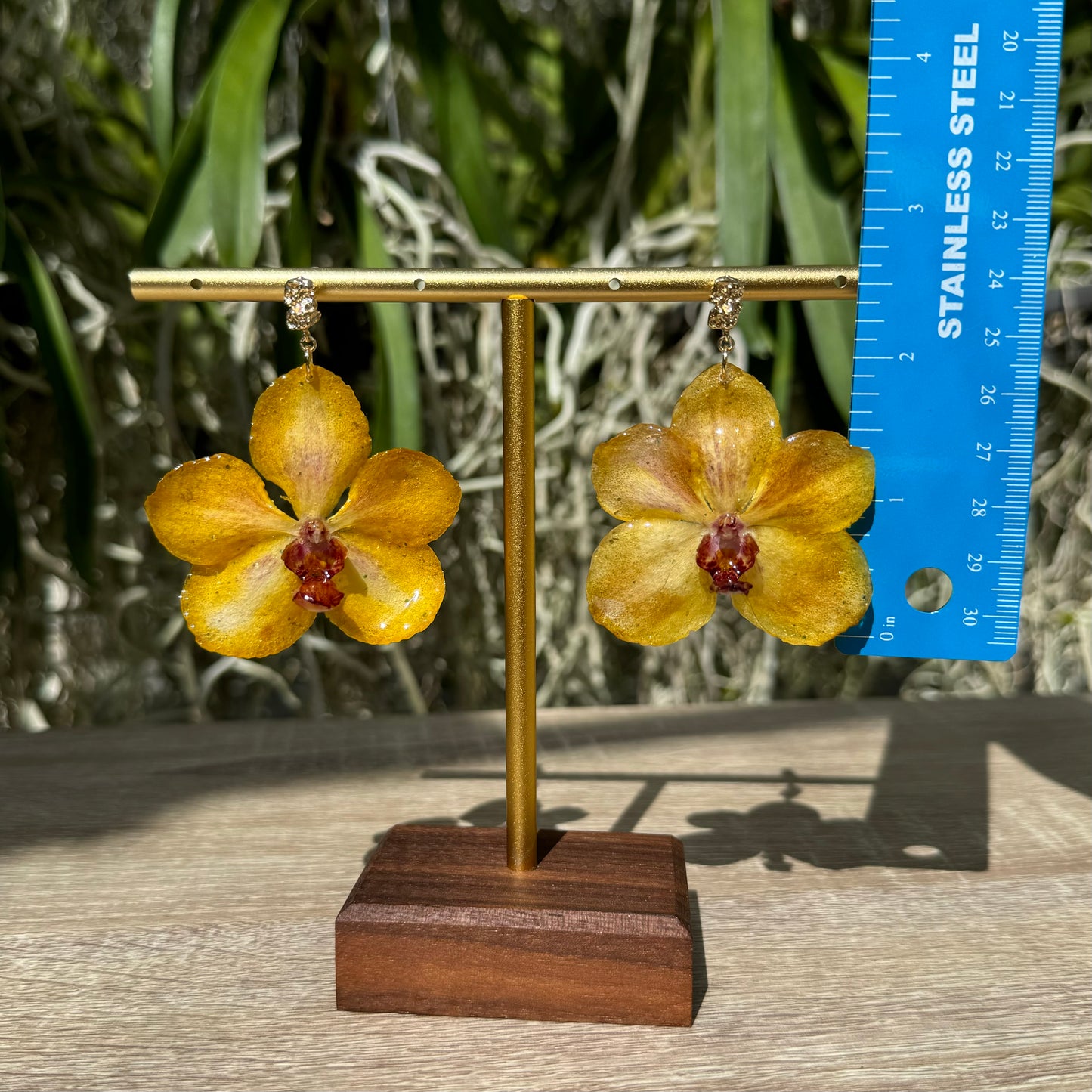 Yellow Vanda Ploenit Orchid earrings