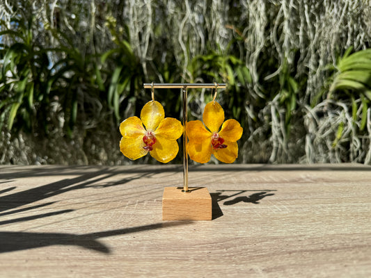 Yellow Vanda Ploenit Orchid earrings