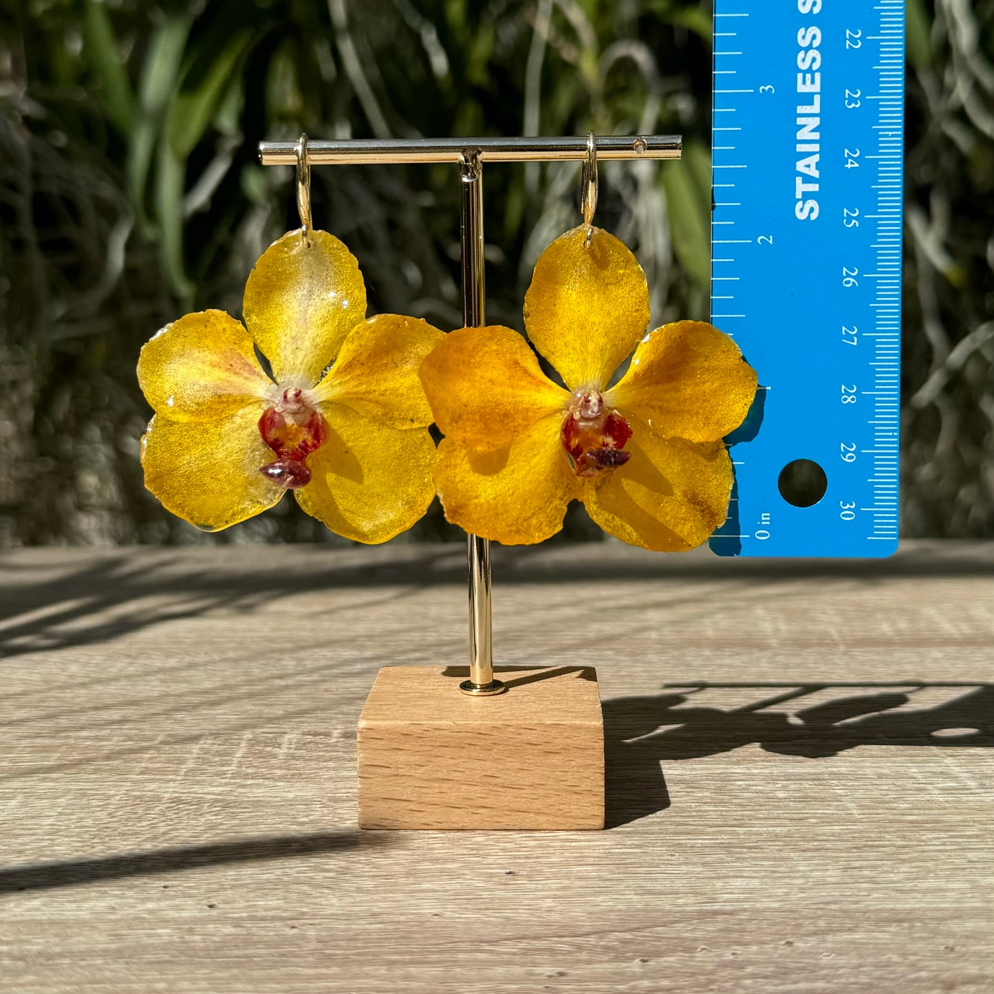 Yellow Vanda Ploenit Orchid earrings