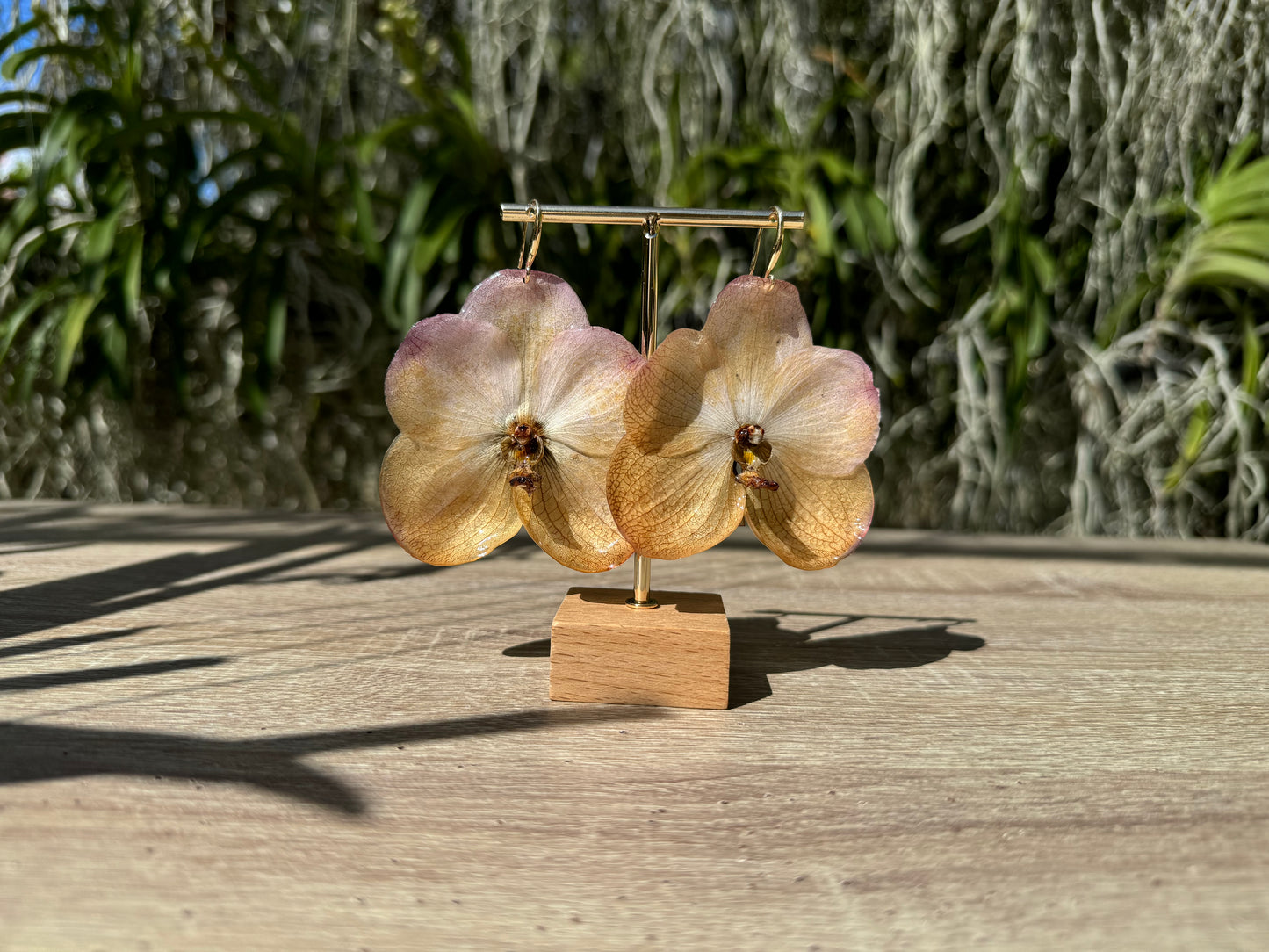 Sunset Vanda two tone Orchid earrings