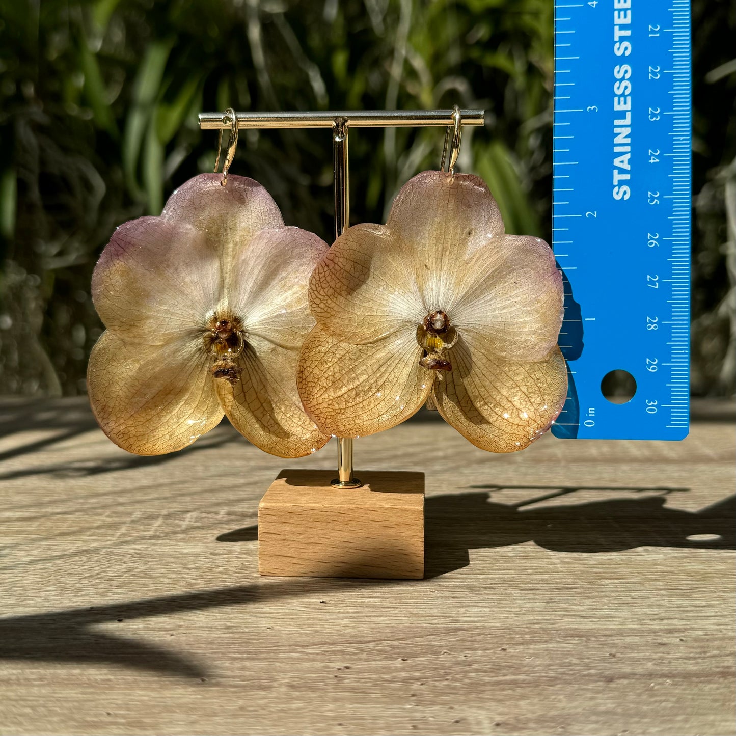 Sunset Vanda two tone Orchid earrings