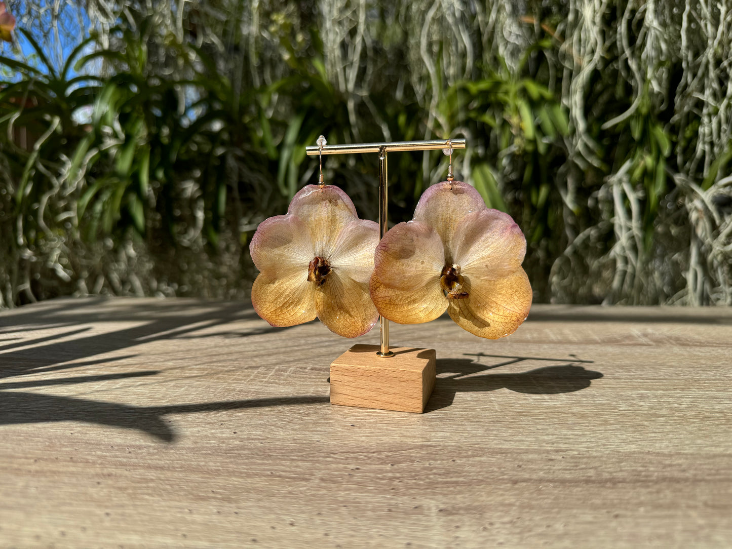 Sunset Vanda two tone Orchid earrings