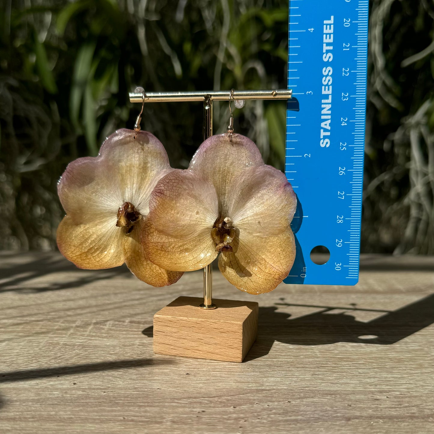 Sunset Vanda two tone Orchid earrings