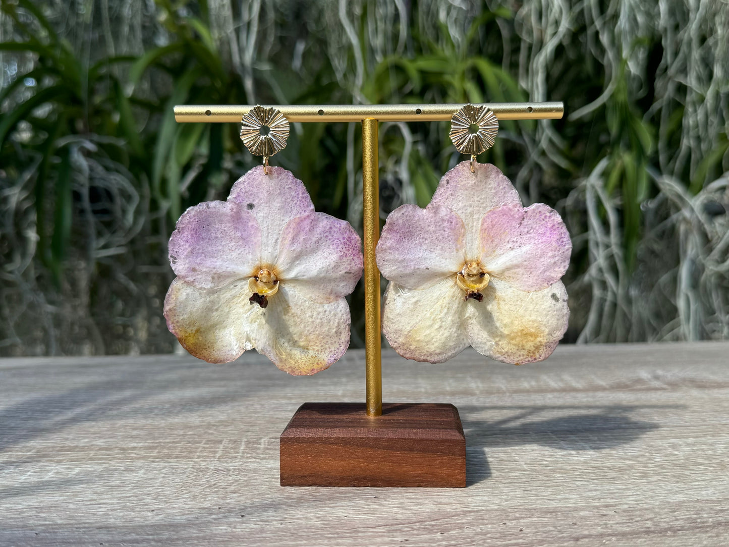 Sunset Vanda two tone Orchid earrings