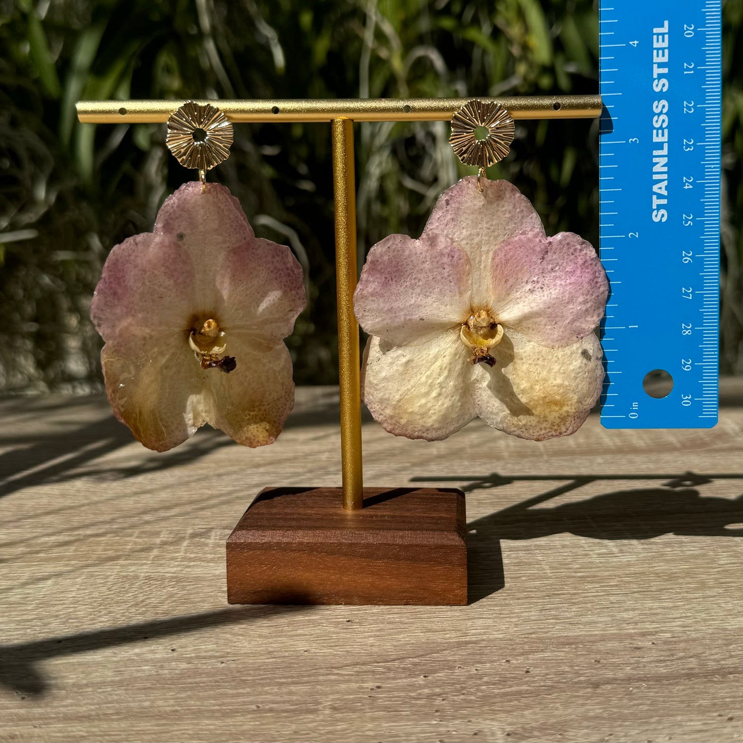 Sunset Vanda two tone Orchid earrings