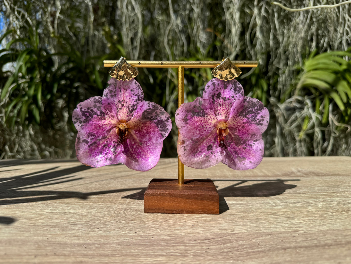 Pink Vanda Orchid earrings