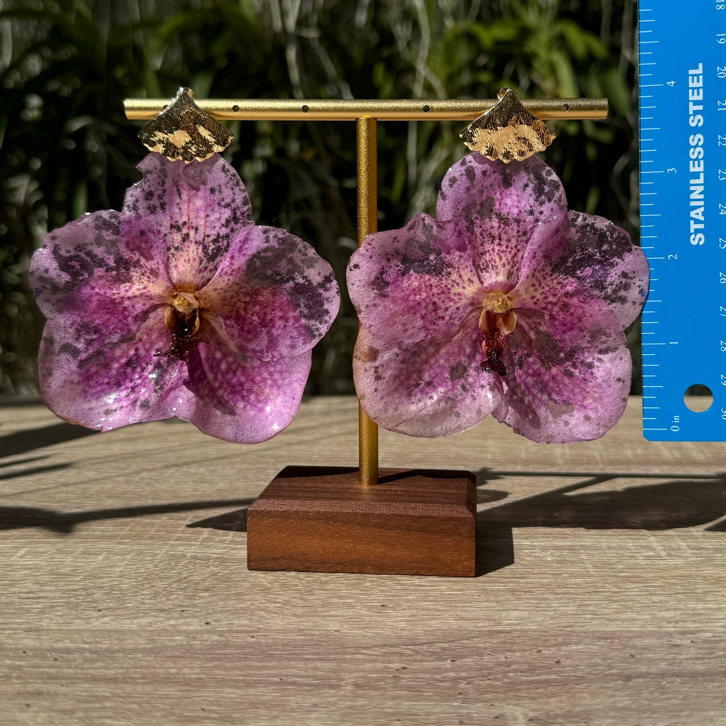 Pink Vanda Orchid earrings