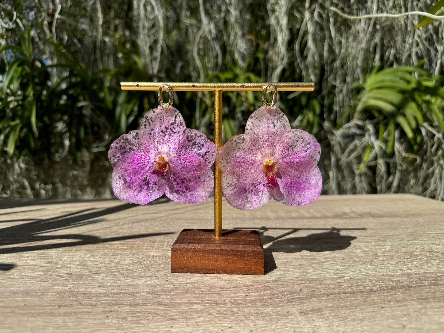 Pink Vanda Orchid earrings
