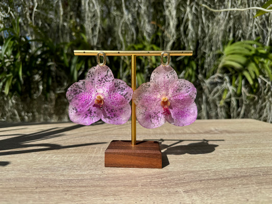 Pink Vanda Orchid earrings