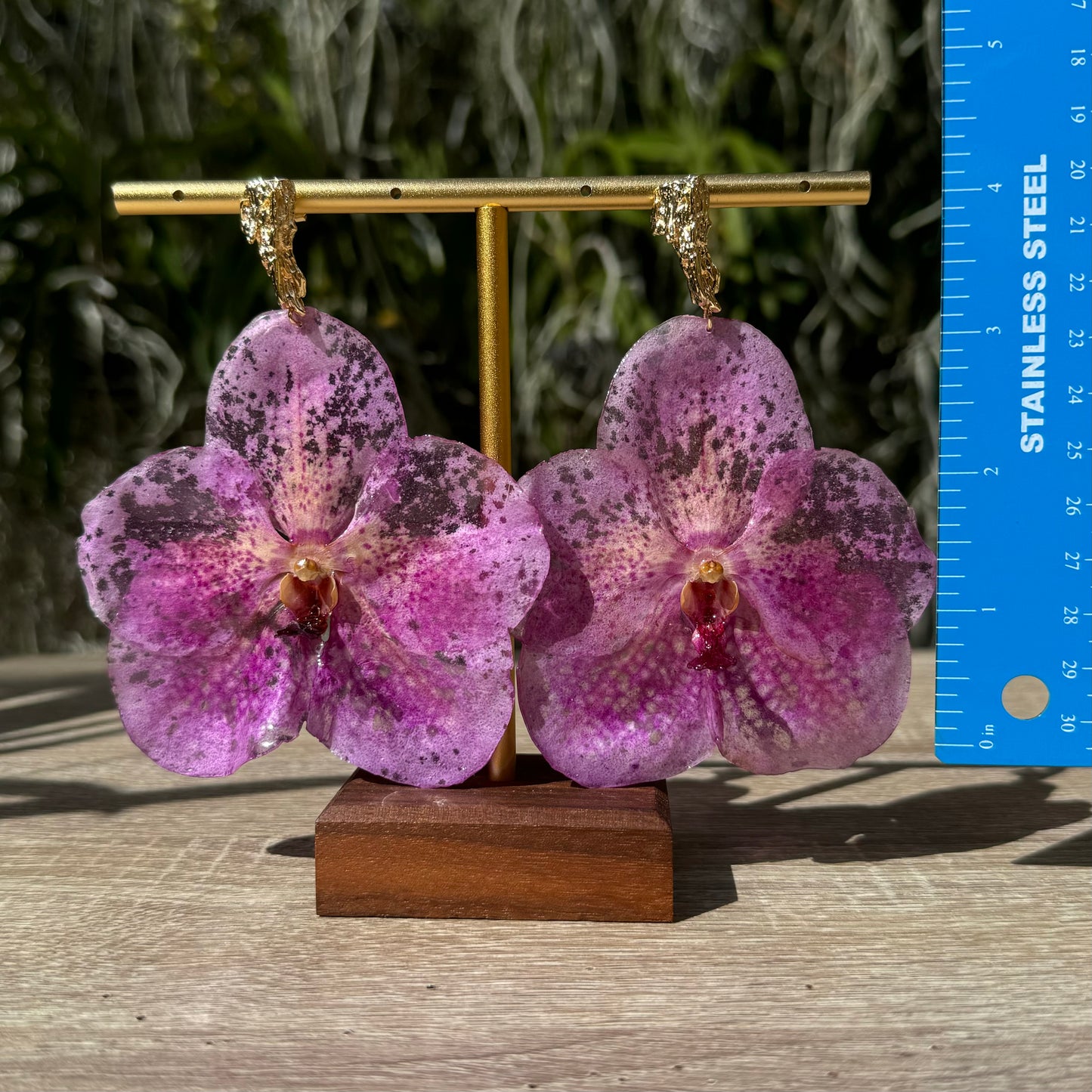 Pink Vanda Orchid earrings