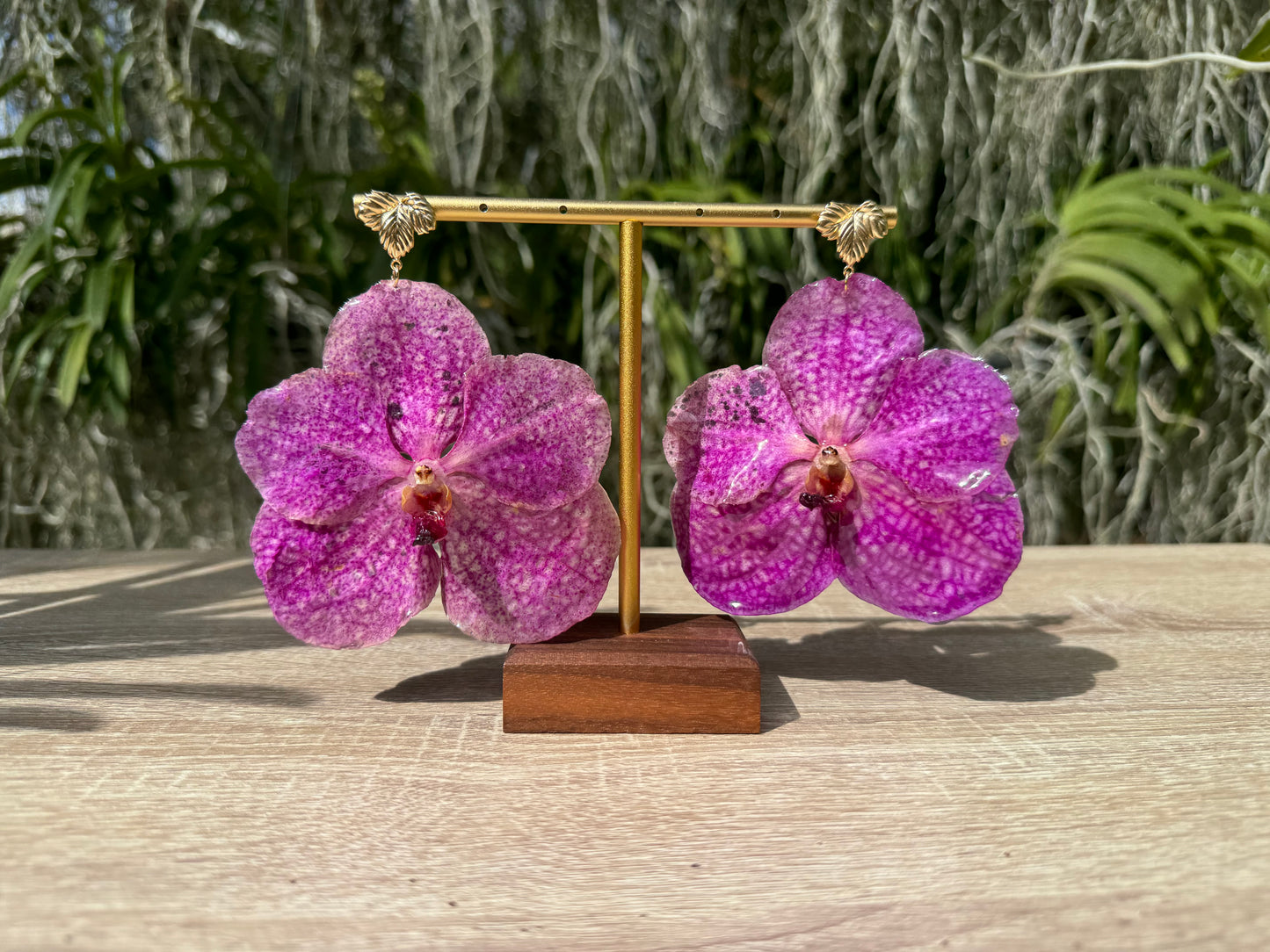 Pink Vanda Orchid earrings