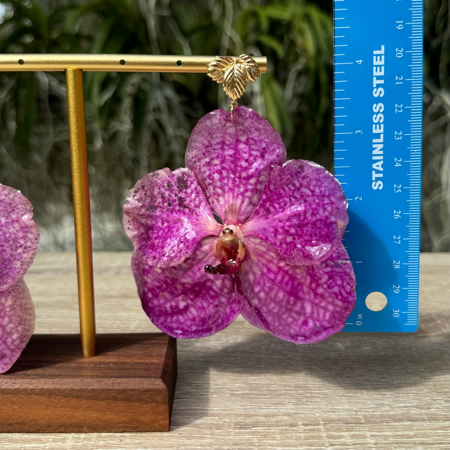 Pink Vanda Orchid earrings