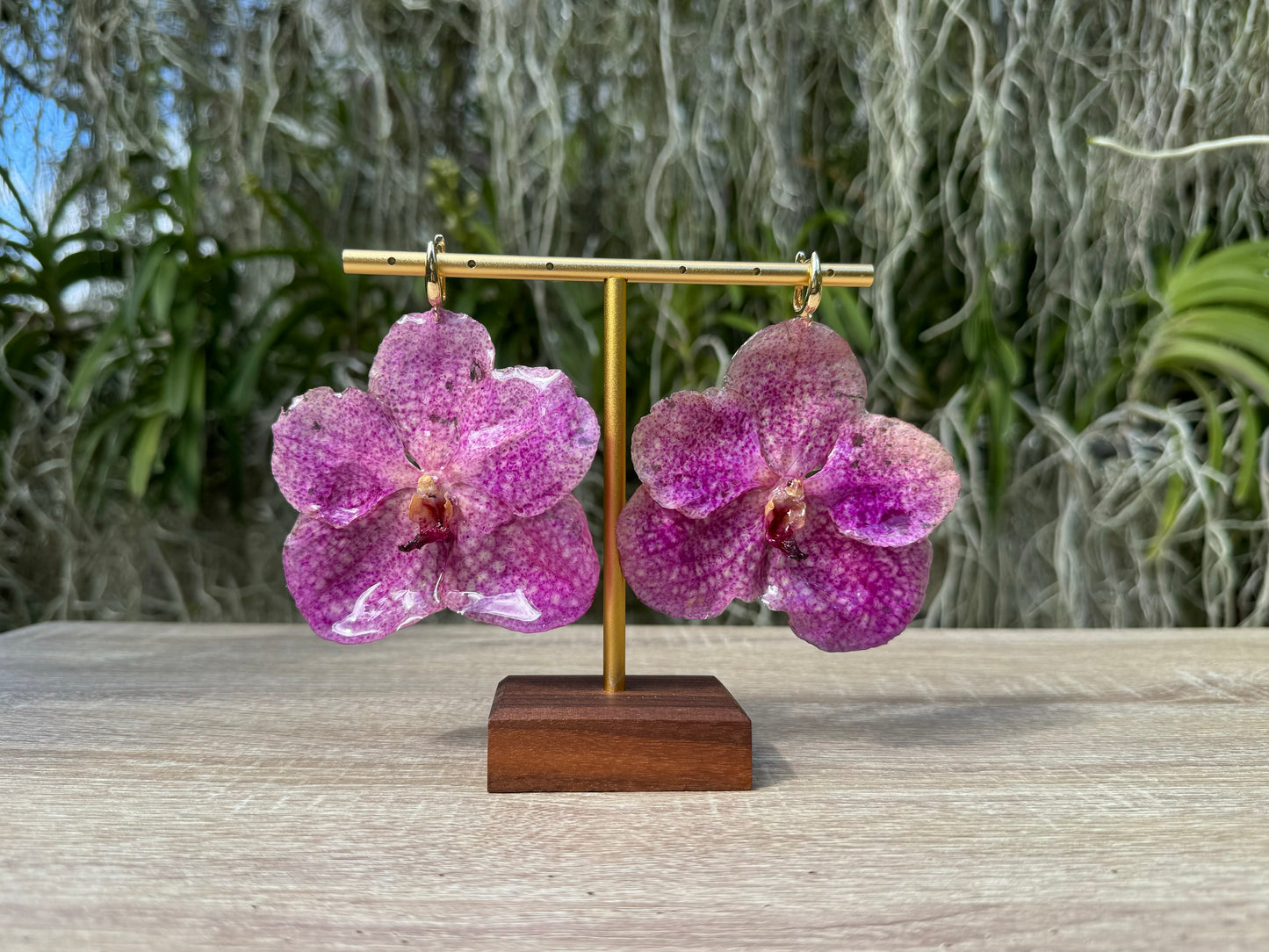Pink Vanda Orchid earrings