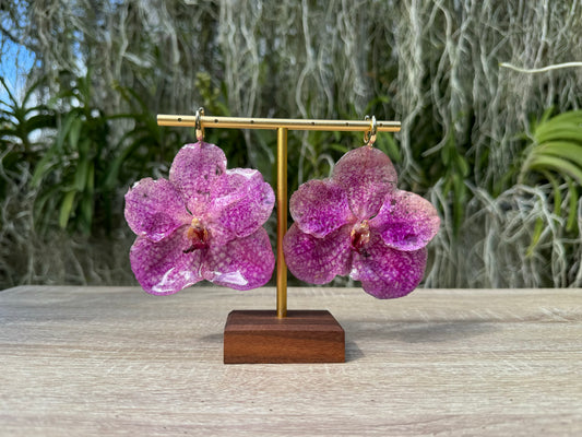 Pink Vanda Orchid earrings