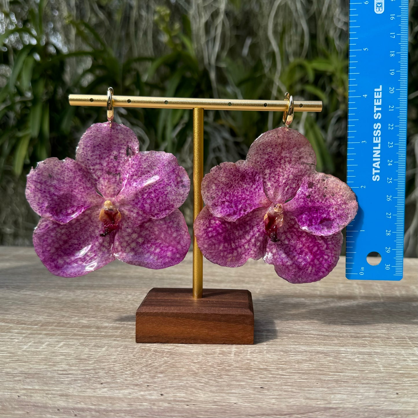 Pink Vanda Orchid earrings