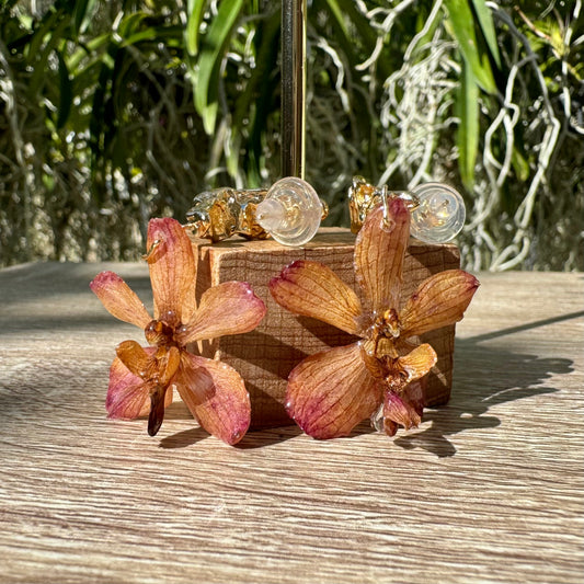 Autumn Vanda orchid mini earrings