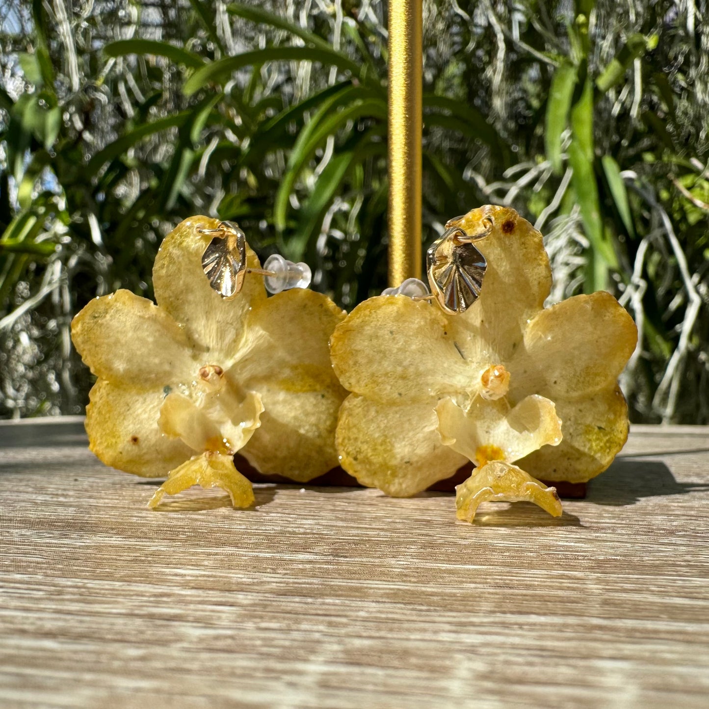 Yellow Vanda orchid mini earrings