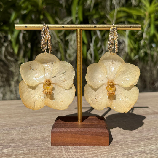 White Vanda Orchid earrings