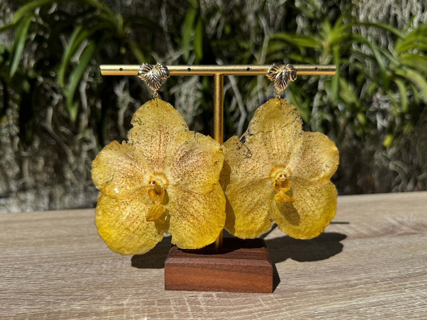 Lemon Yellow Vanda Orchid earrings