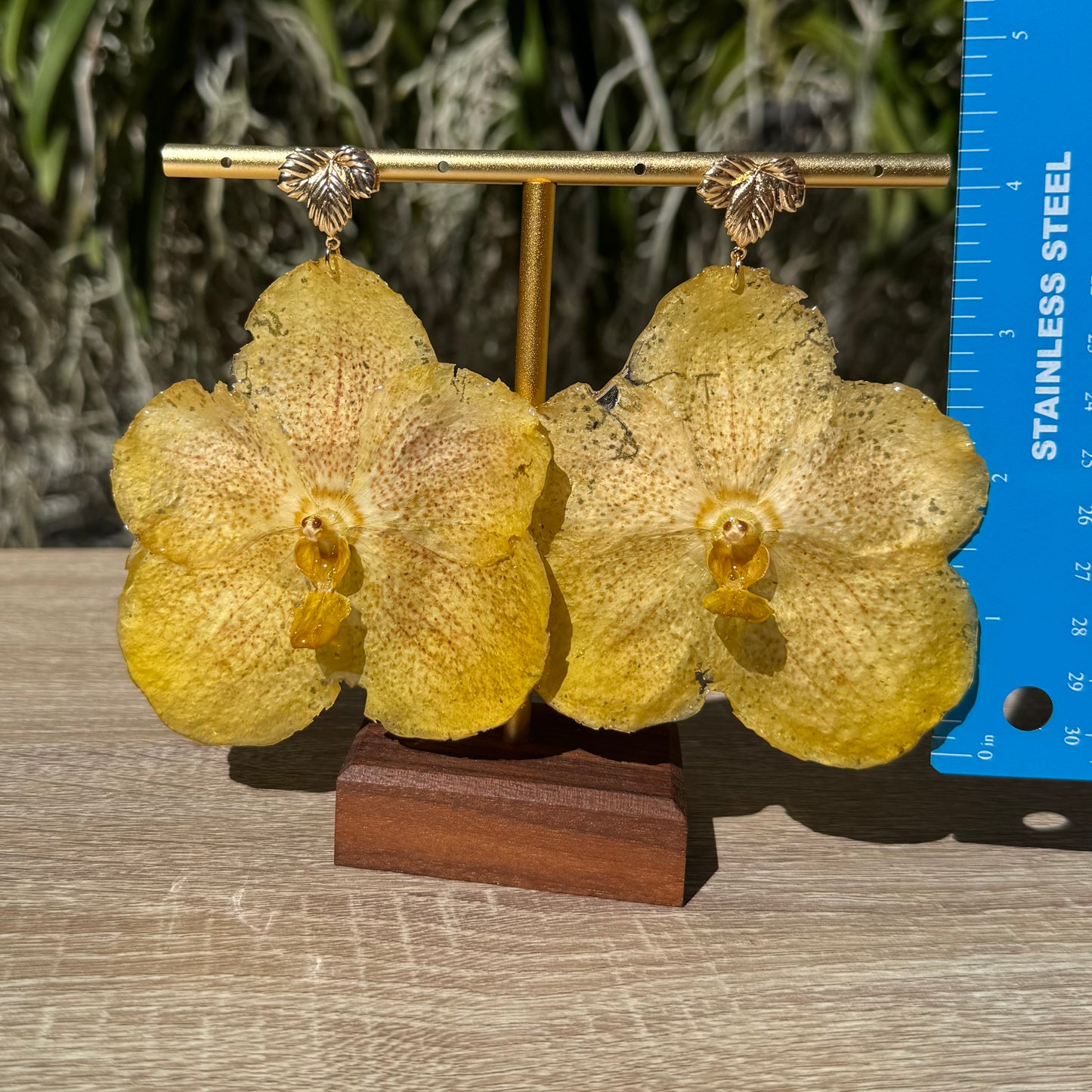 Lemon Yellow Vanda Orchid earrings