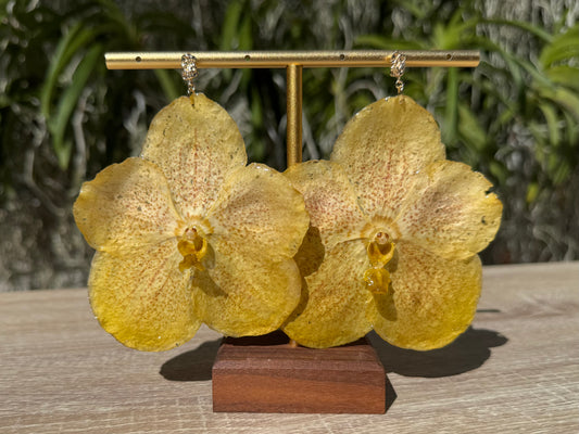 Lemon Yellow Vanda Orchid earrings