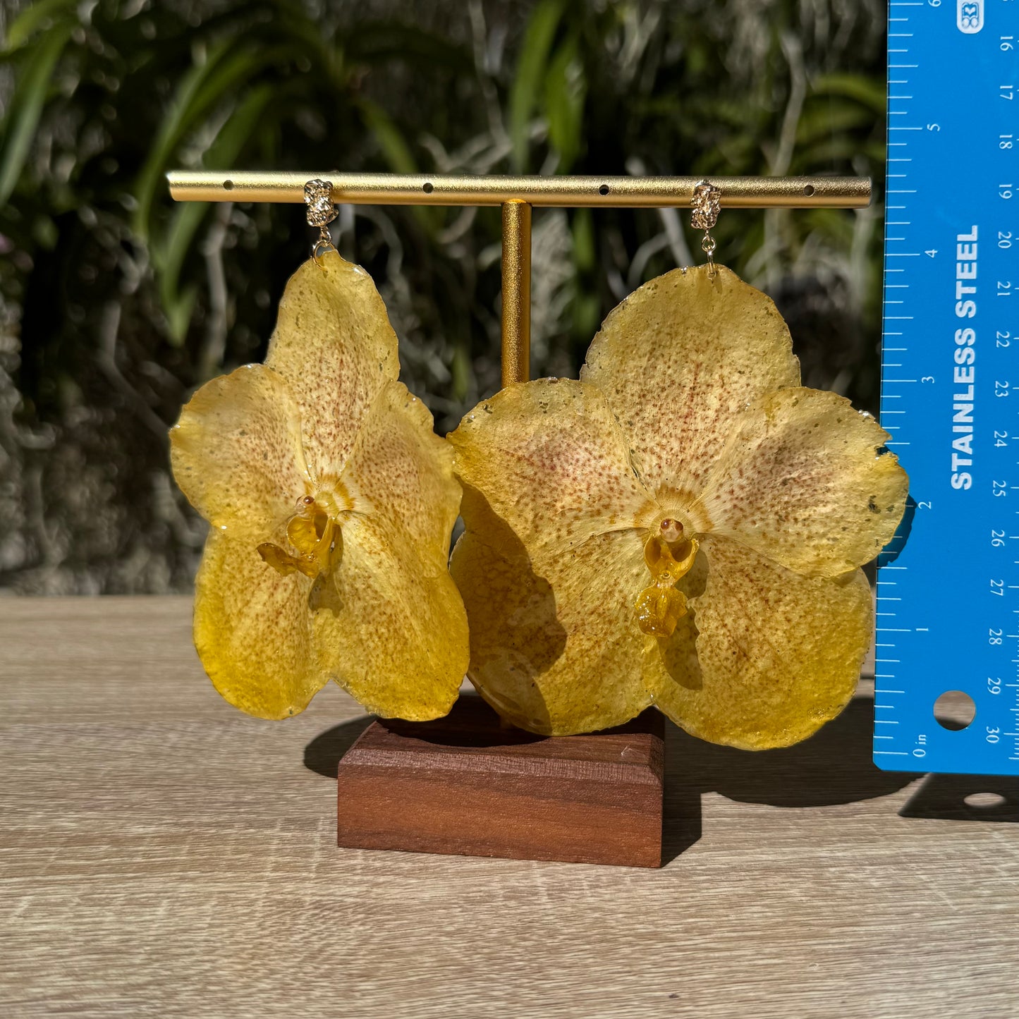 Lemon Yellow Vanda Orchid earrings