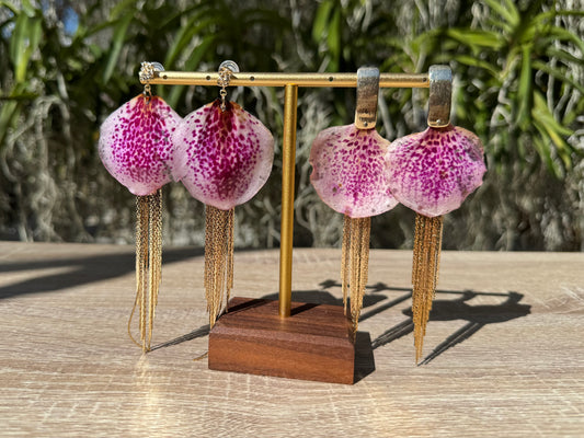 Light Pink jellyfish Vanda Orchid earrings