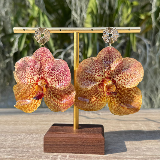 Rose Yellow Vanda Orchid earrings