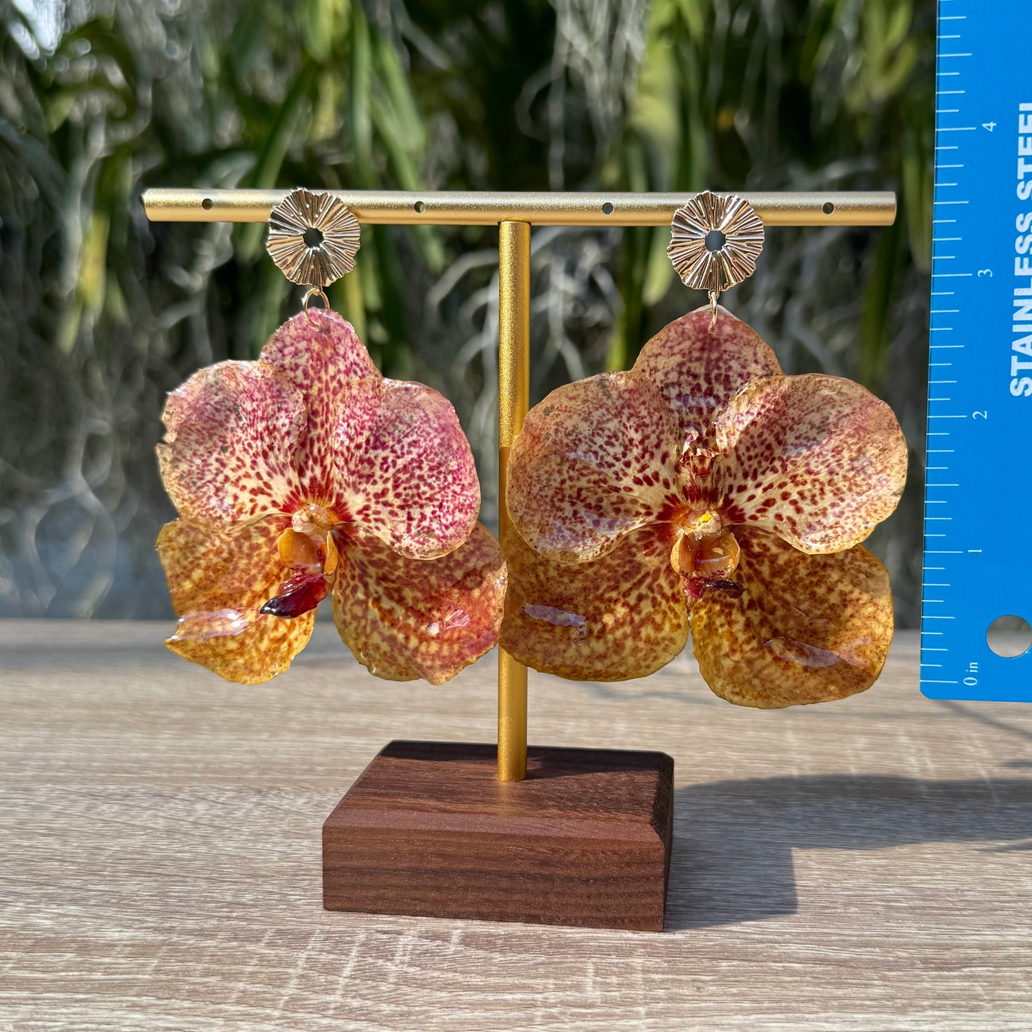Rose Yellow Vanda Orchid earrings