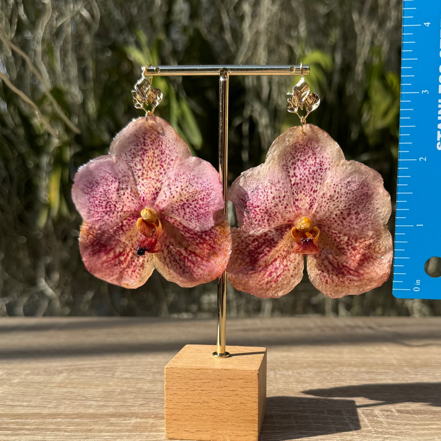 Pink Vanda Orchid earrings