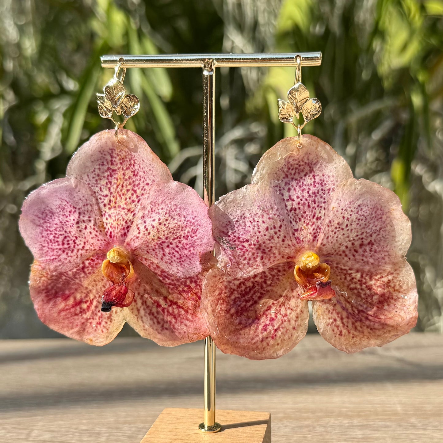 Pink Vanda Orchid earrings